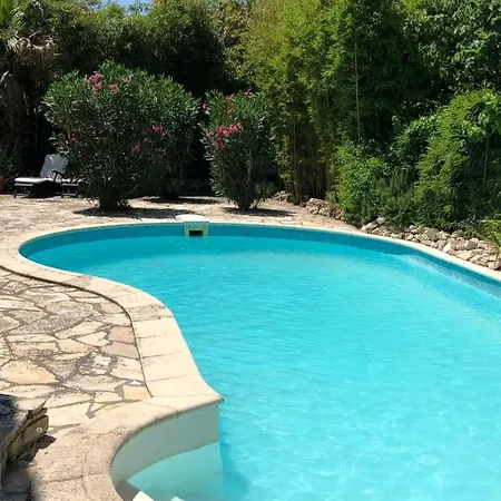 Apartment Pool Few Steps From Beach Green Zadar